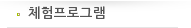 체험프로그램